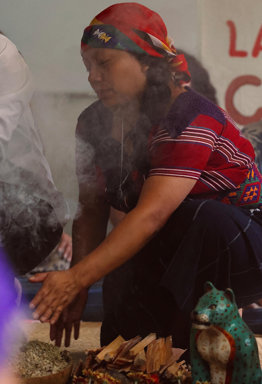 Efficitur faucibus vitae