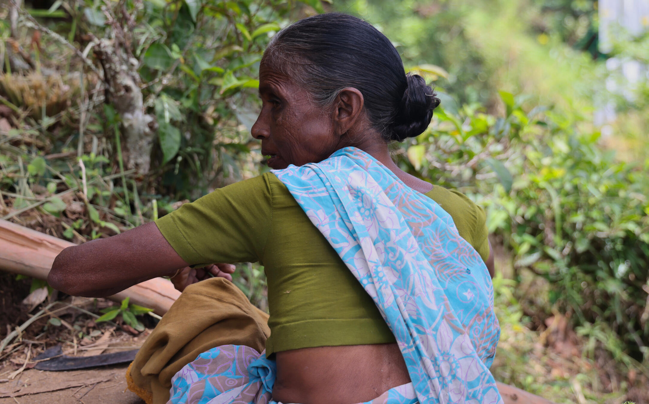 Dolor adipiscing elit