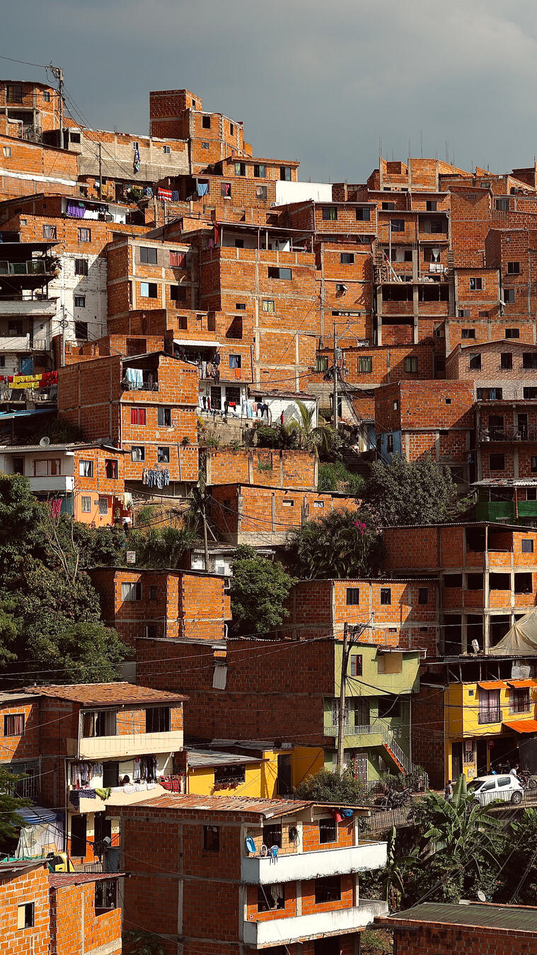 Efficitur faucibus vitae