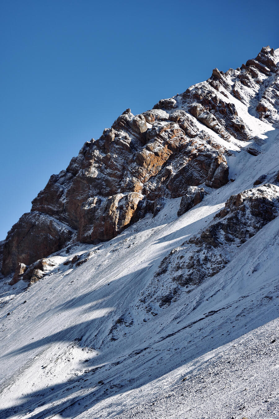 Efficitur faucibus vitae