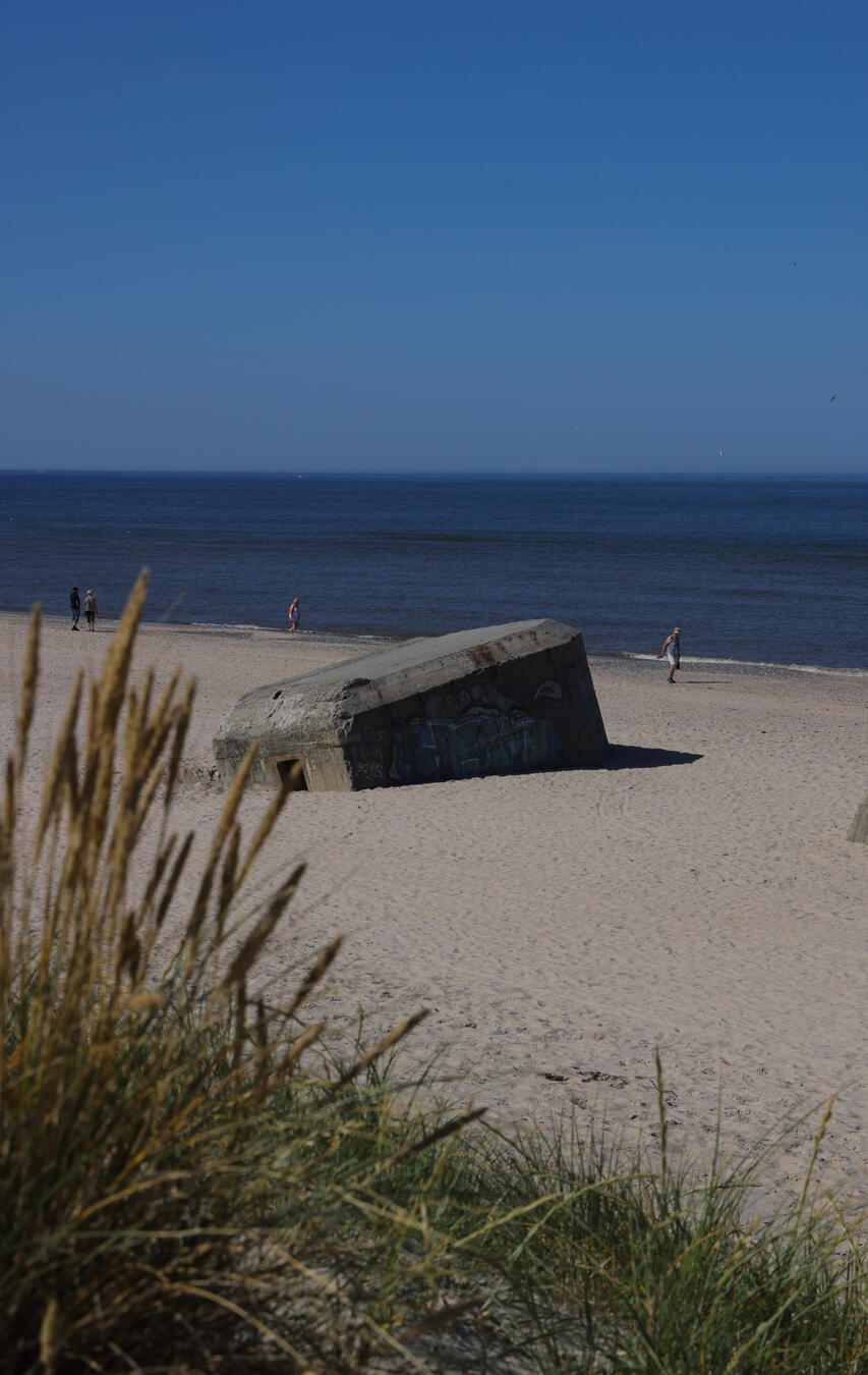 Efficitur faucibus vitae